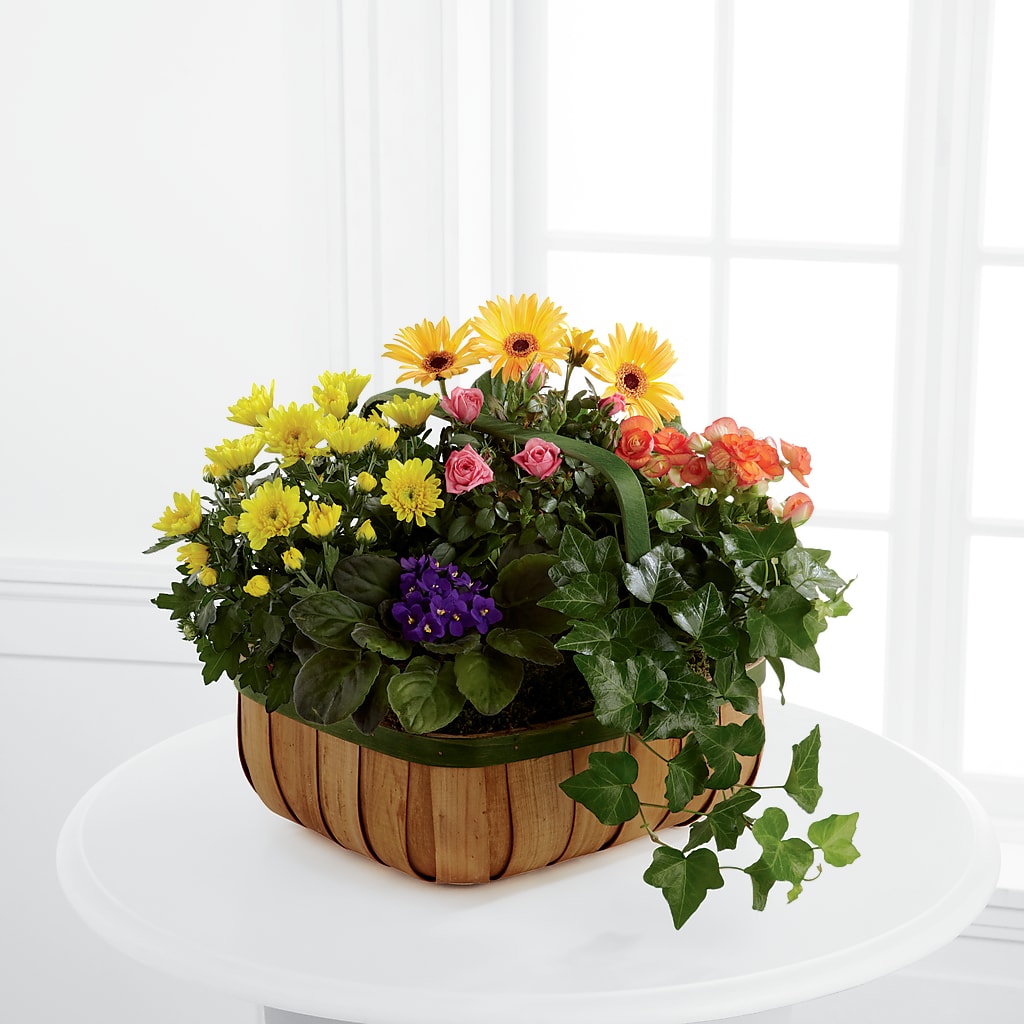 Gentle Blossoms Basket – Red Rose Flowers, Salinas CA
