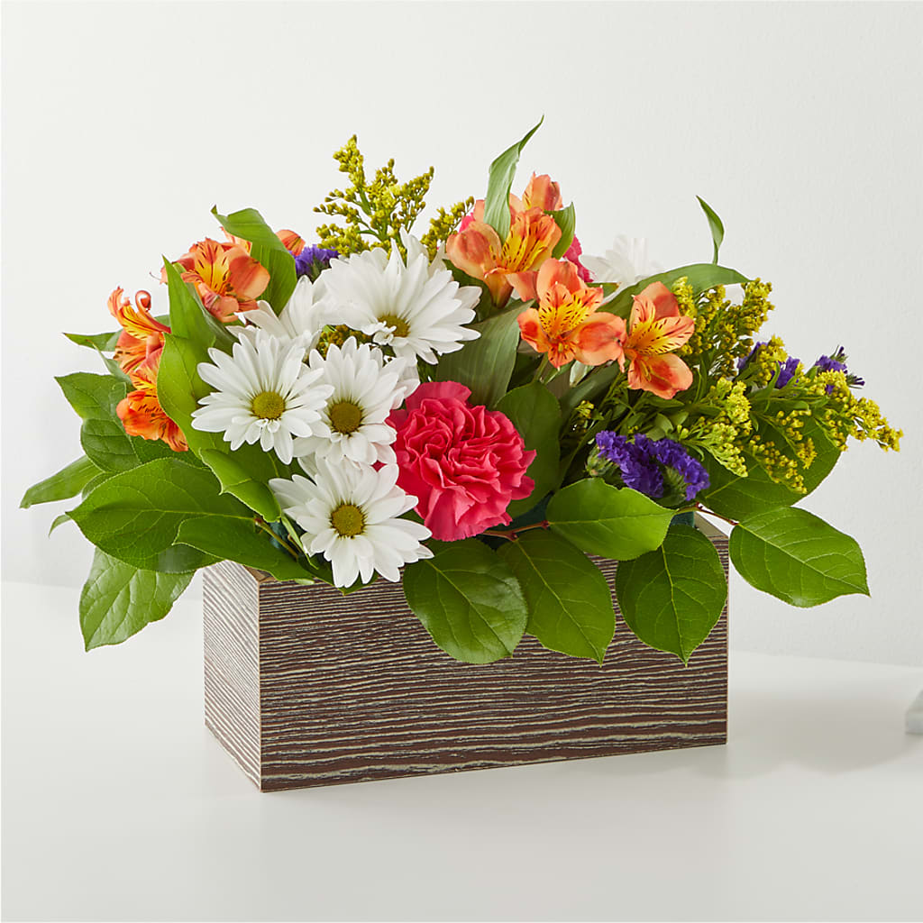 Oopsie Daisy Box Bouquet – Red Rose Flowers, Salinas CA