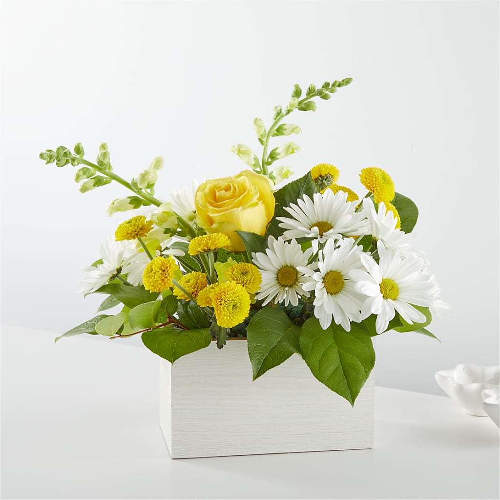 Sun Salutation Box Bouquet – Red Rose Flowers, Salinas CA