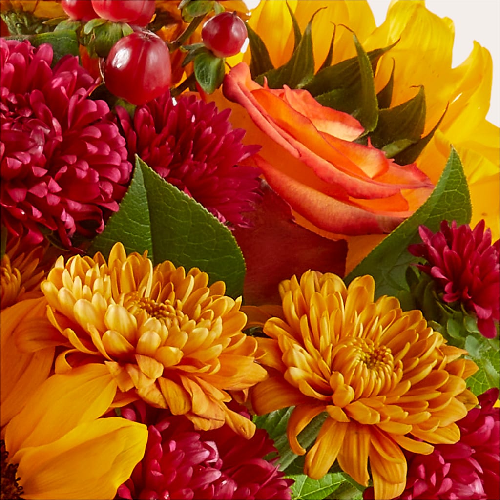Sweater Season - A Florist Original – Red Rose Flowers, Salinas CA
