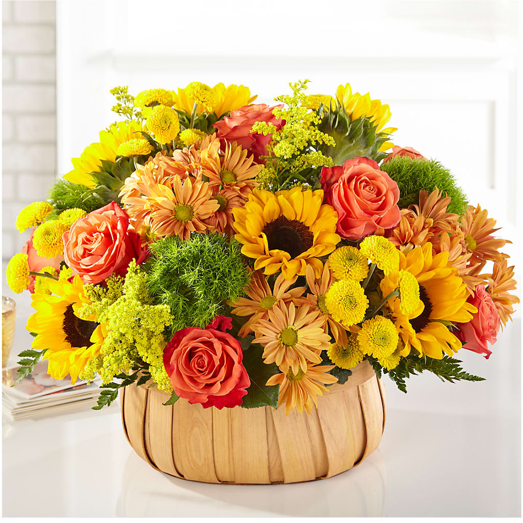 Harvest Sunflower Basket – Red Rose Flowers, Salinas CA