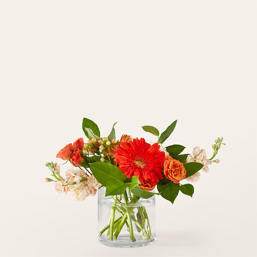 Paloma Please Bouquet – Red Rose Flowers, Salinas CA