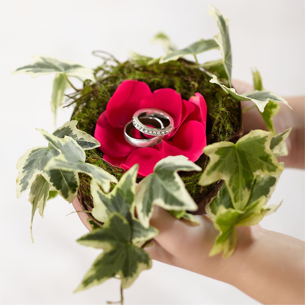 Lila Rose Ring Nest – Red Rose Flowers, Salinas CA