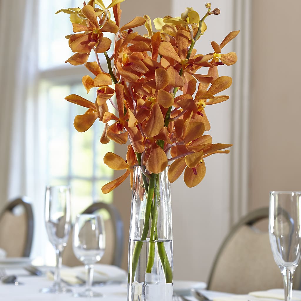 Orange Mokara Bud Vase – Red Rose Flowers, Salinas CA