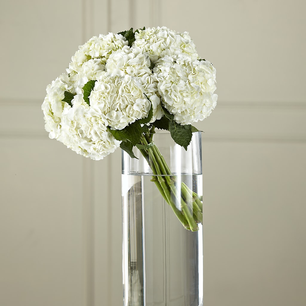 White Hydrangea Hand-Tied Bouquet – Red Rose Flowers, Salinas CA