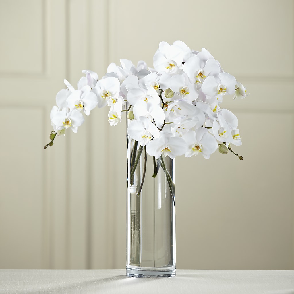 White Phalaenopsis Bouquet – Red Rose Flowers, Salinas CA