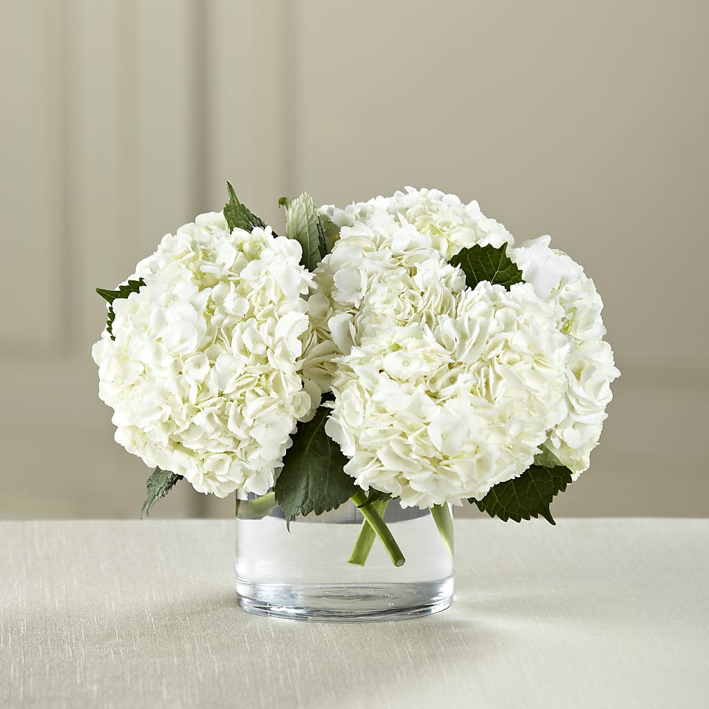 White Hydrangea Bouquet – Red Rose Flowers, Salinas CA