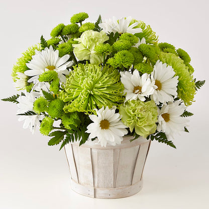 Lucky Charm Basket (Standard) –  Red Rose Flowers, Salinas CA