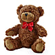 Adorable Plush Bear –  Red Rose Flowers, Salinas CA