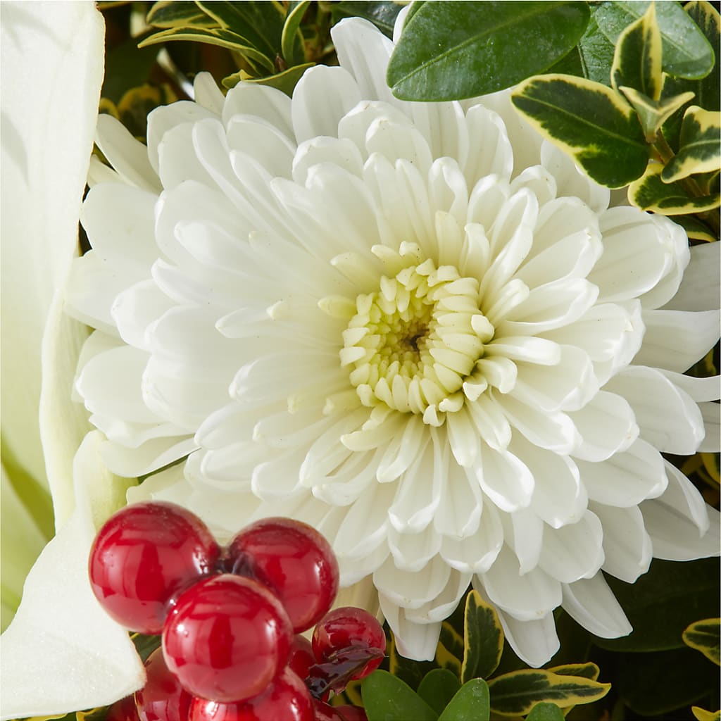 Festive Moments Tree –  Red Rose Flowers, Salinas CA