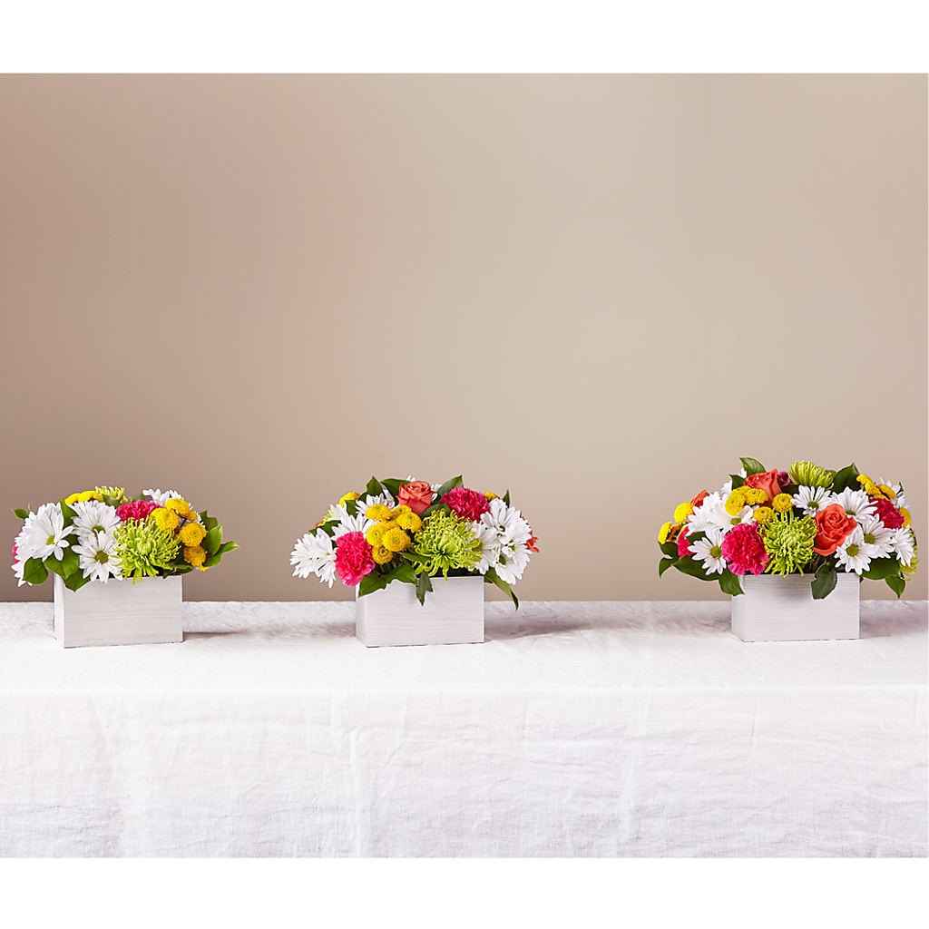 Sorbet Bouquet –  Red Rose Flowers, Salinas CA