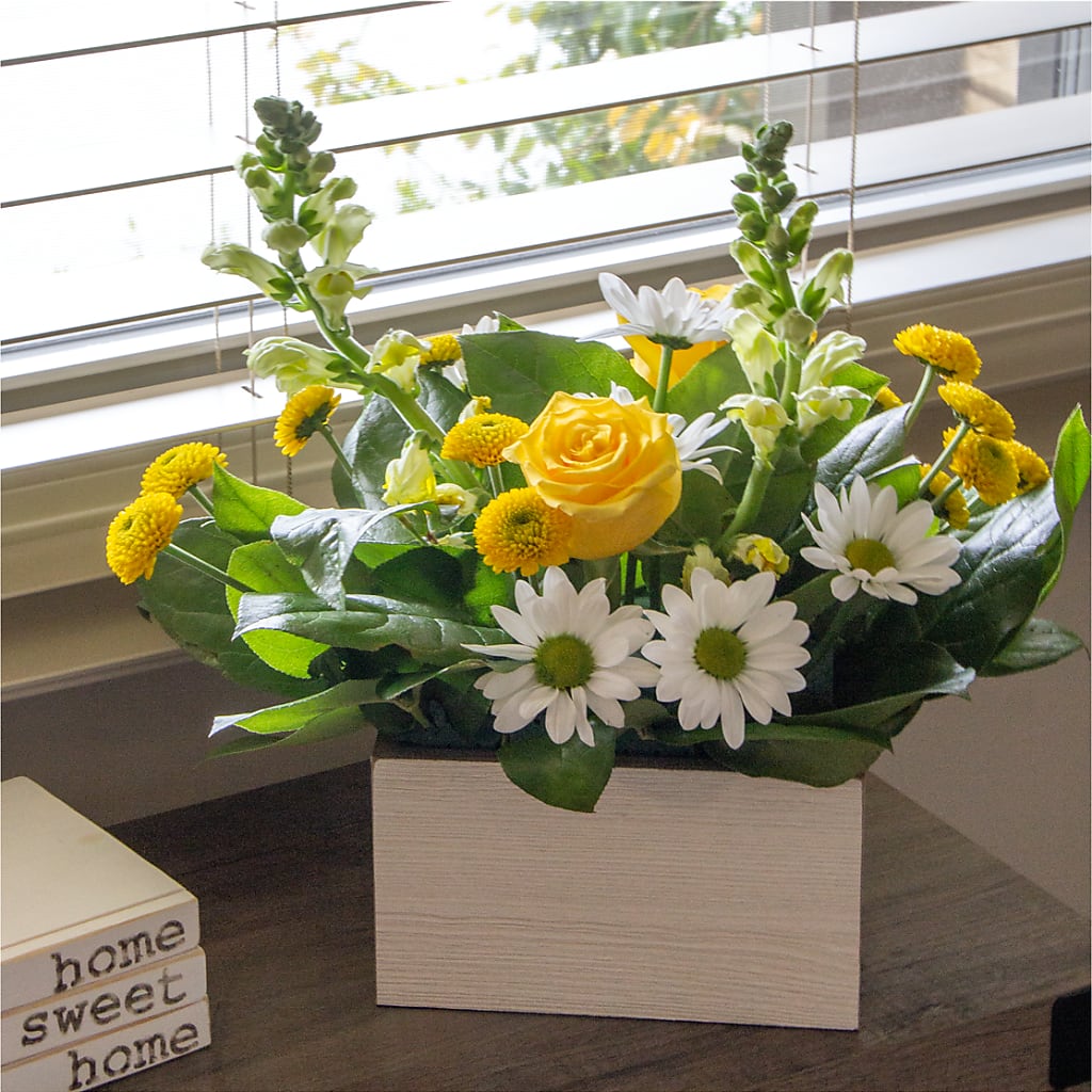 Sun Salutation Box Bouquet –  Red Rose Flowers, Salinas CA