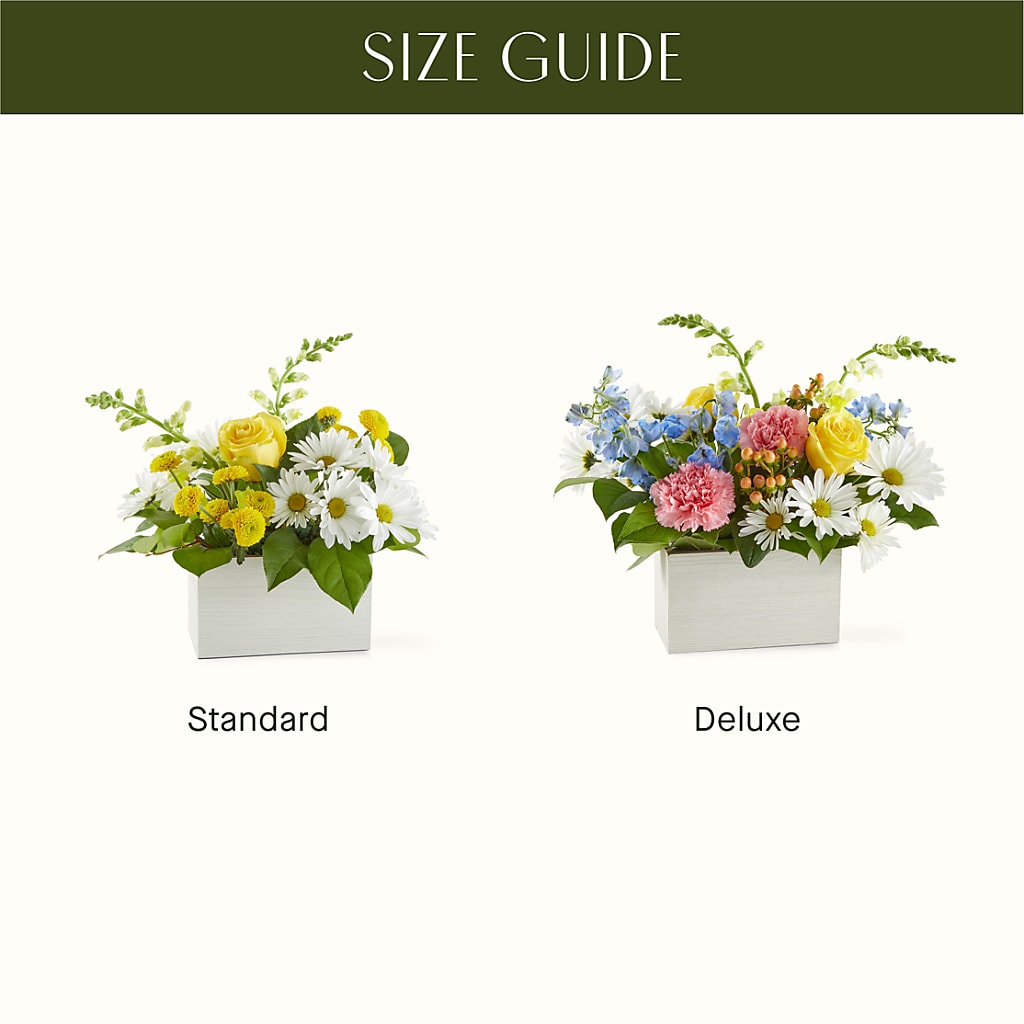 Sun Salutation Box Bouquet –  Red Rose Flowers, Salinas CA