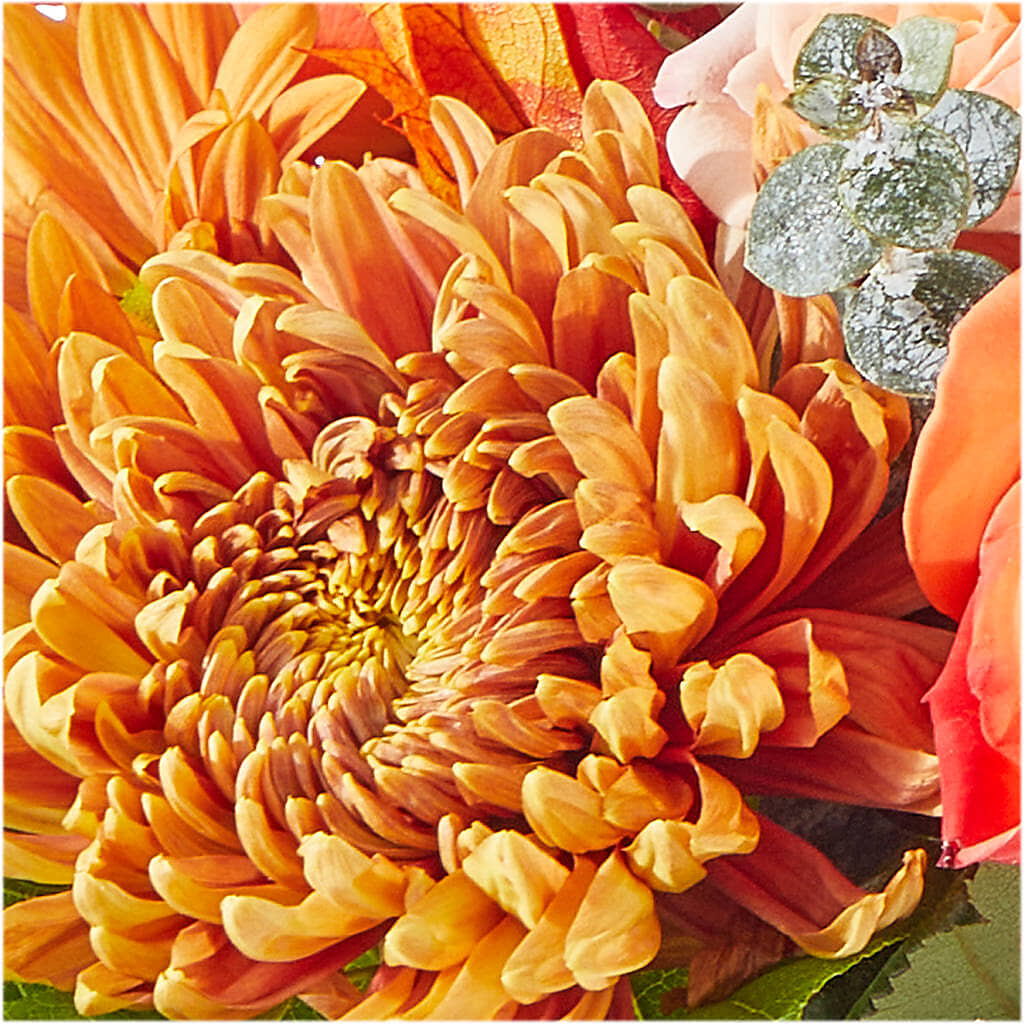 Scenic Route Bouquet –  Red Rose Flowers, Salinas CA