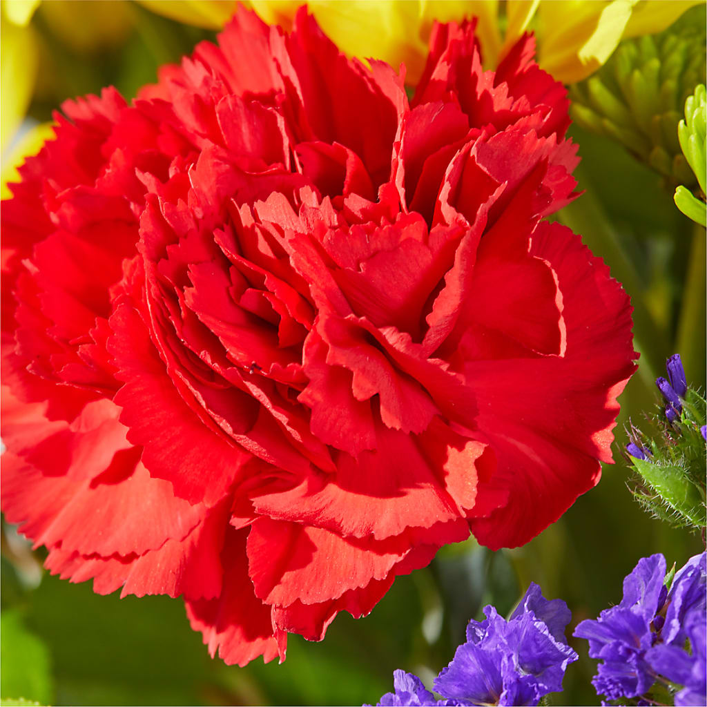 Brighter Days Bouquet –  Red Rose Flowers, Salinas CA
