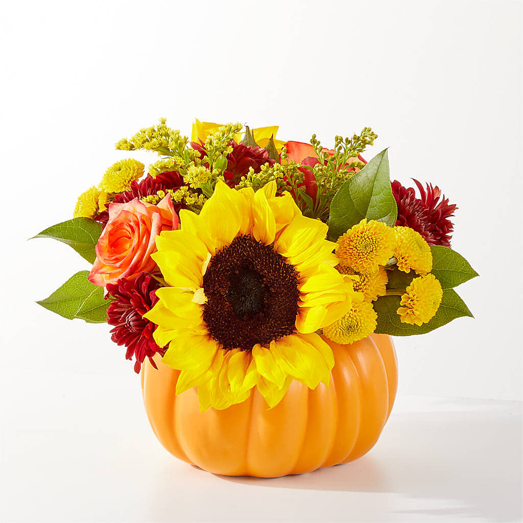 Golden Gourd Pumpkin Bouquet –  Red Rose Flowers, Salinas CA