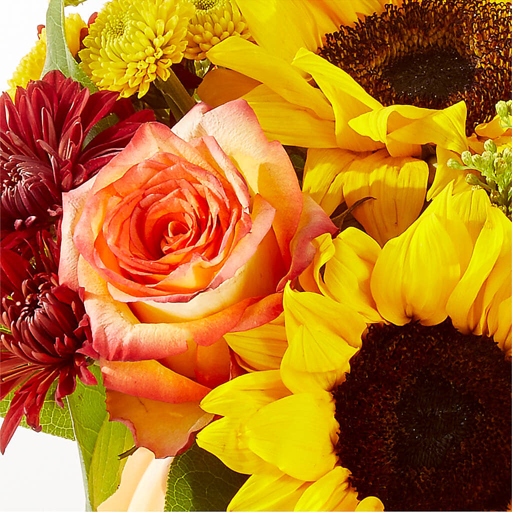 Golden Gourd Pumpkin Bouquet –  Red Rose Flowers, Salinas CA