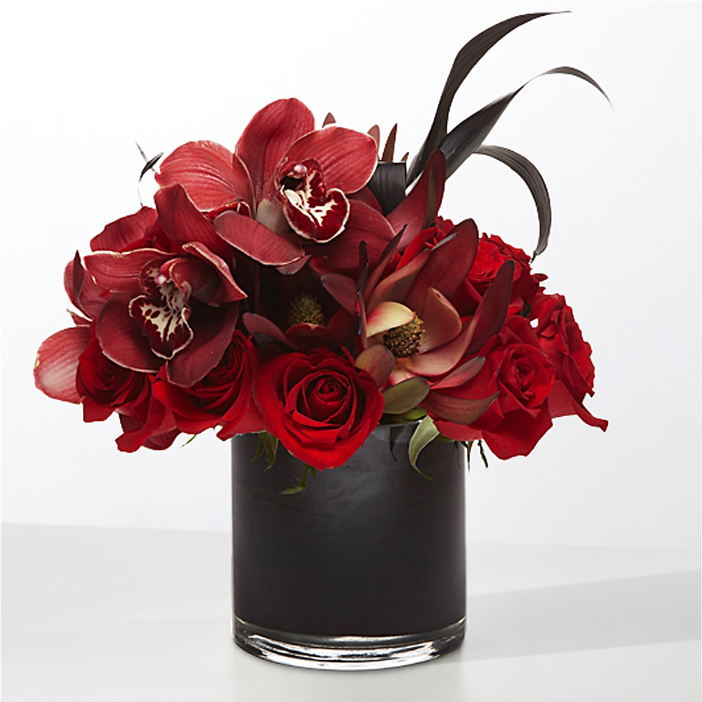 The Eclipse –  Red Rose Flowers, Salinas CA