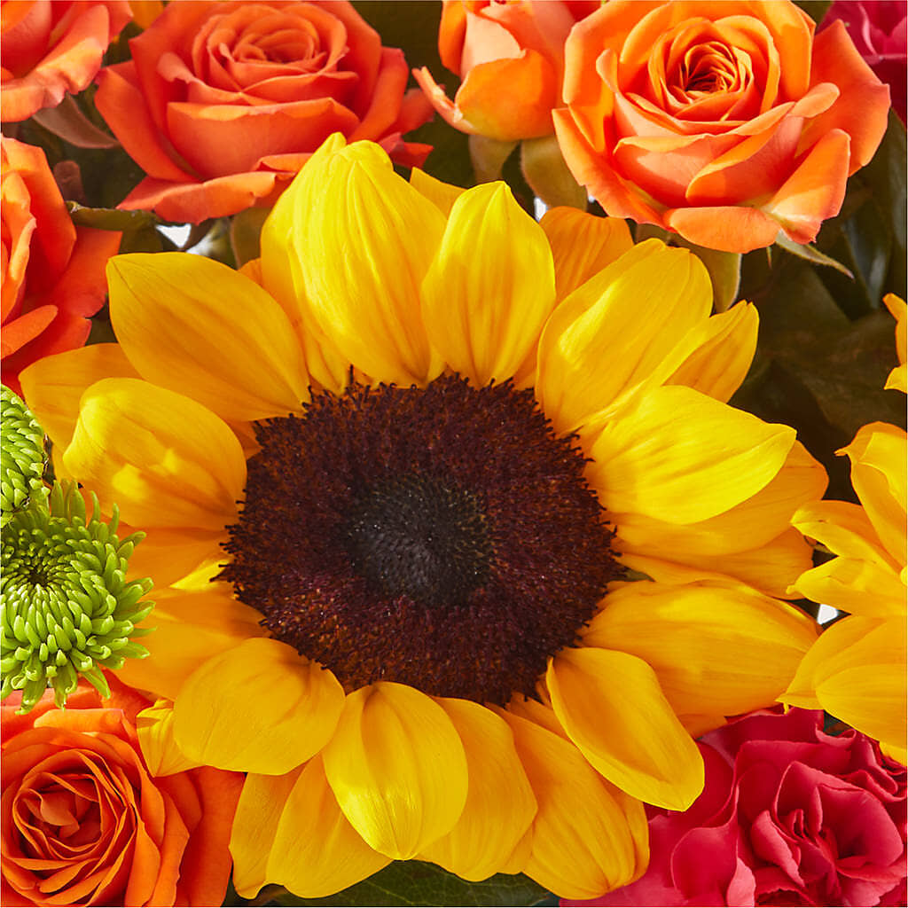 Sun-drenched Blooms Box Bouquet –  Red Rose Flowers, Salinas CA