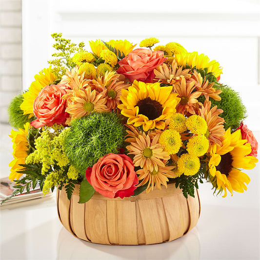 Harvest Sunflower Basket –  Red Rose Flowers, Salinas CA