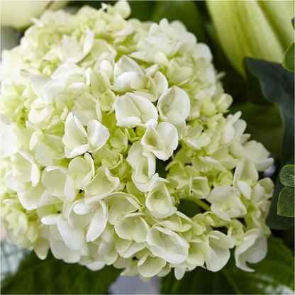 Classic Ivory – A Florist Original –  Red Rose Flowers, Salinas CA