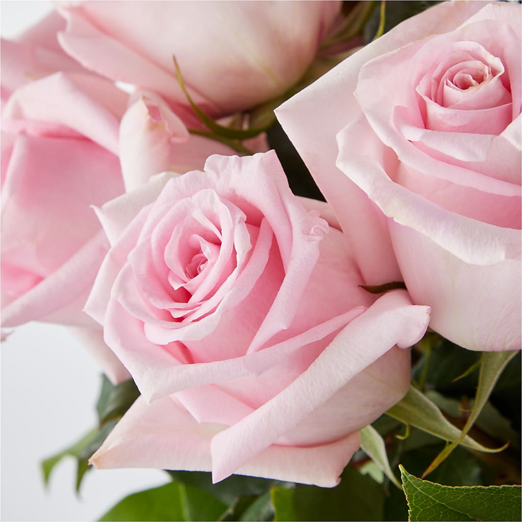 Picture Perfect Pink Rose Bouquet –  Red Rose Flowers, Salinas CA