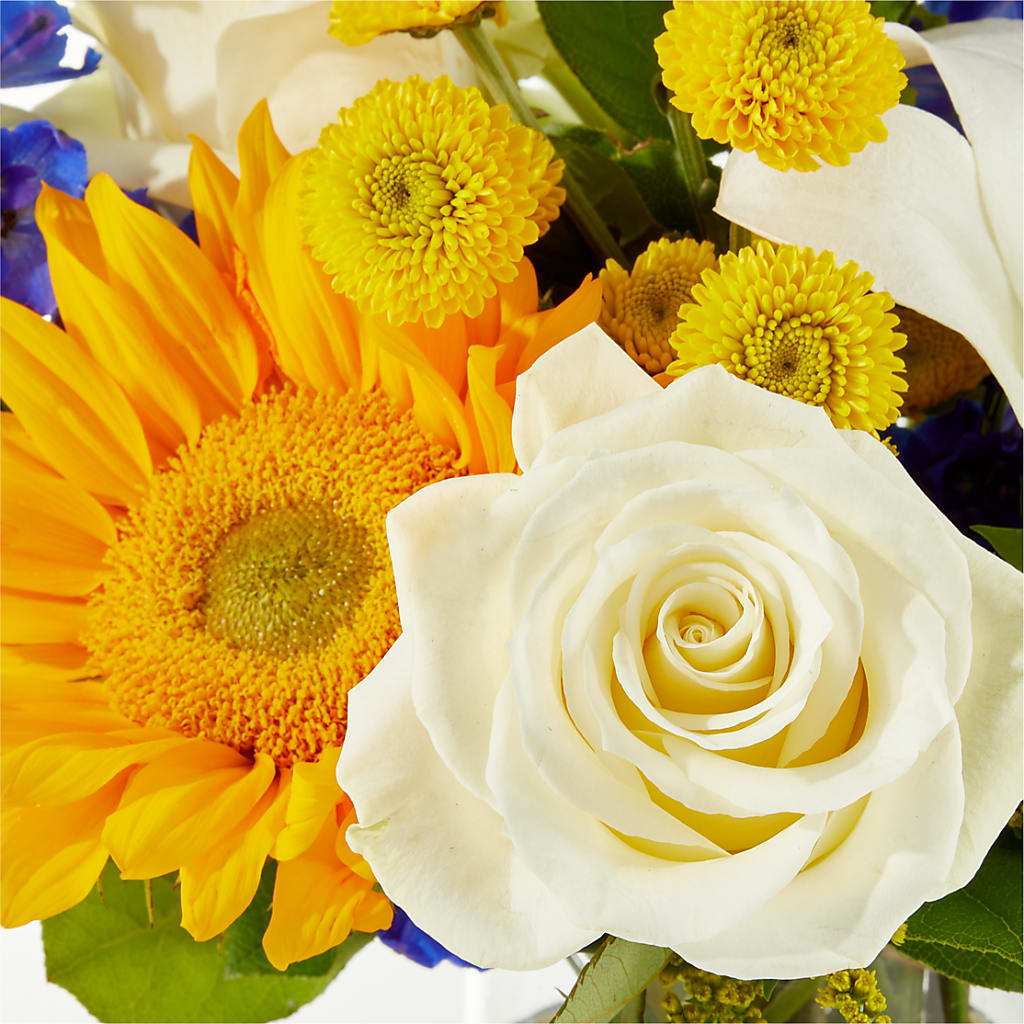Stargazing Bouquet –  Red Rose Flowers, Salinas CA