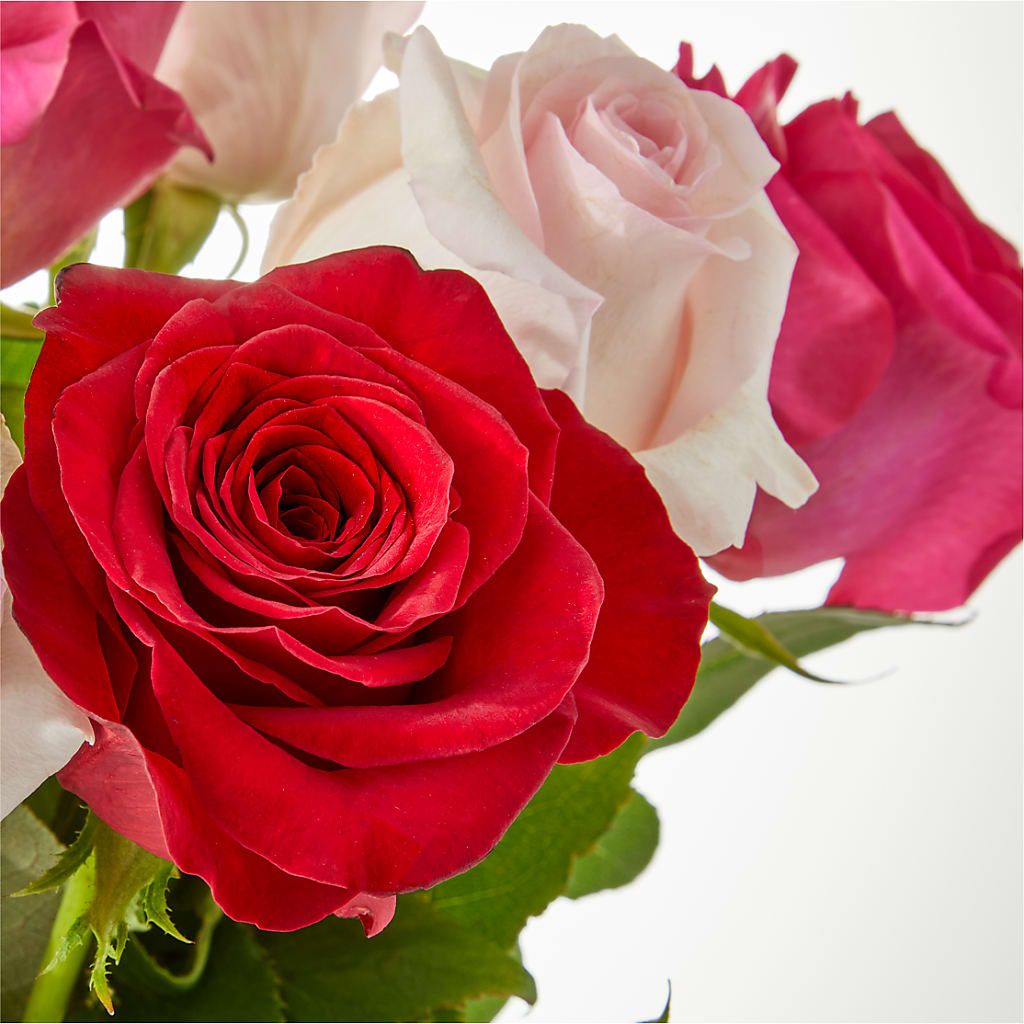 Charming Rose Bouquet –  Red Rose Flowers, Salinas CA