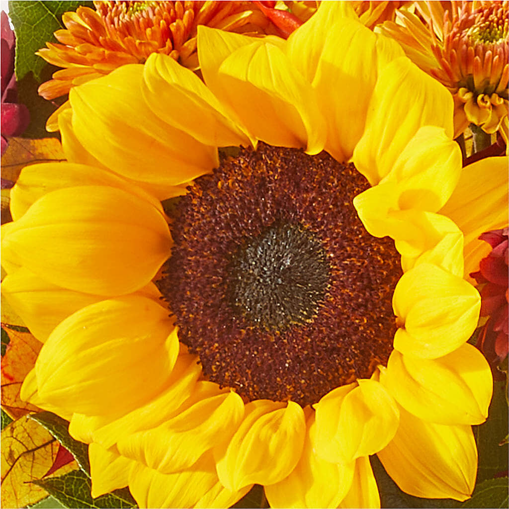 Sunny Side Bouquet –  Red Rose Flowers, Salinas CA
