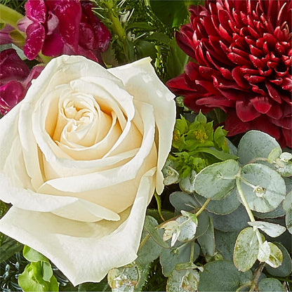 Cranberry Fizz Bouquet –  Red Rose Flowers, Salinas CA