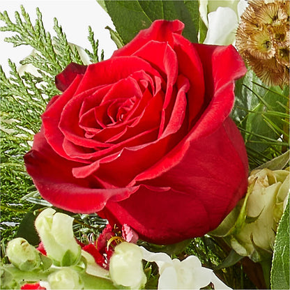 Deck the Halls Bouquet –  Red Rose Flowers, Salinas CA
