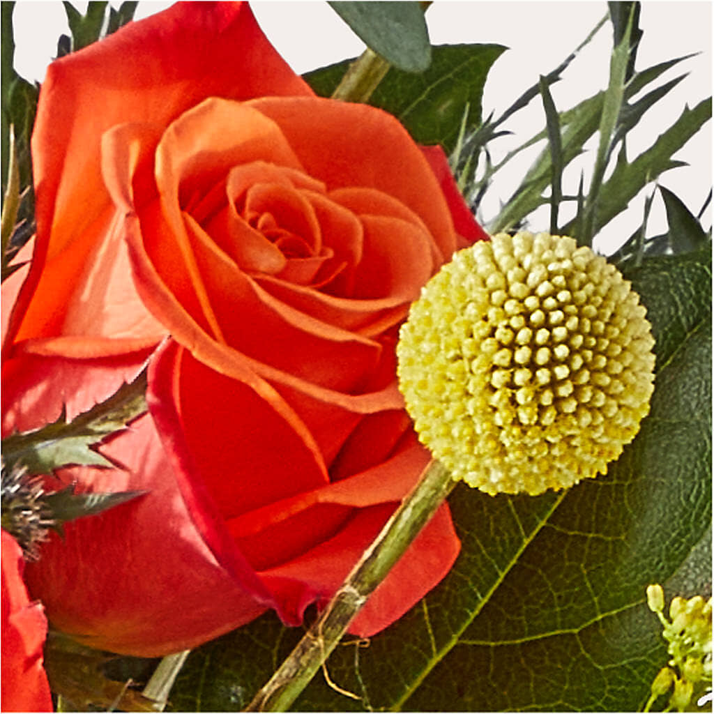 Disco Bouquet –  Red Rose Flowers, Salinas CA