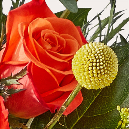 Disco Bouquet –  Red Rose Flowers, Salinas CA