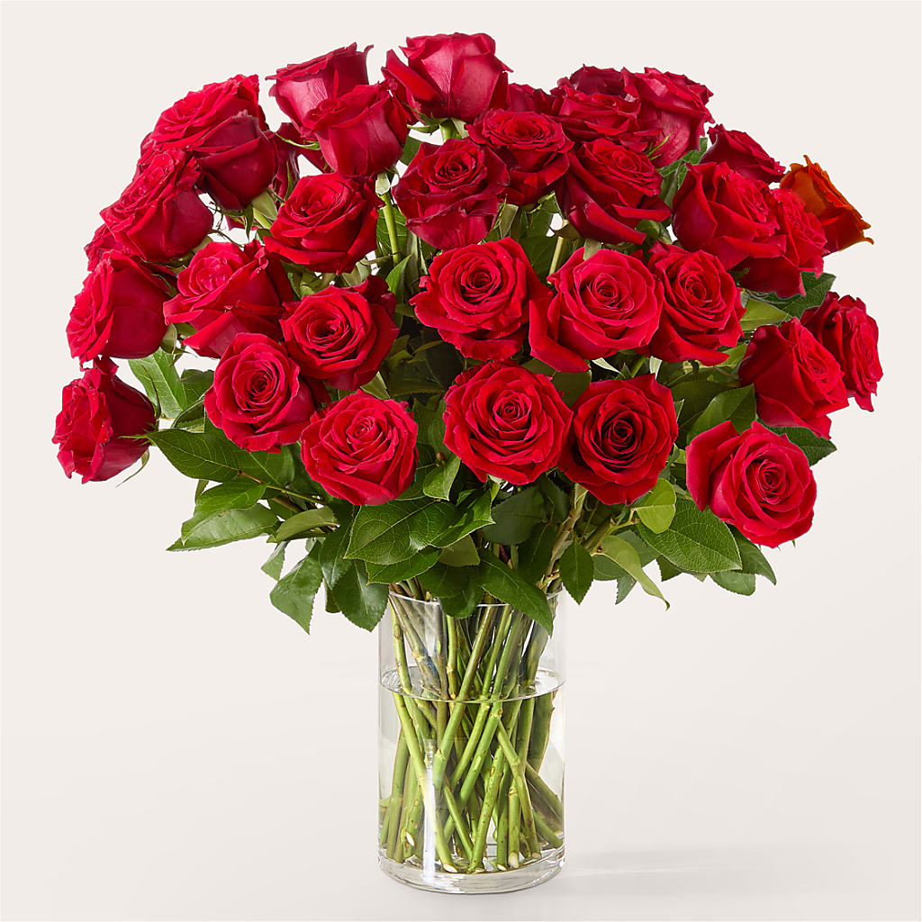 The One Red Rose Bouquet –  Red Rose Flowers, Salinas CA