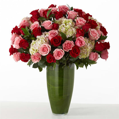 The Allure –  Red Rose Flowers, Salinas CA