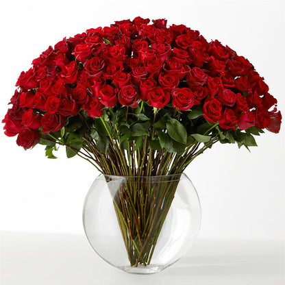 The Idealist –  Red Rose Flowers, Salinas CA