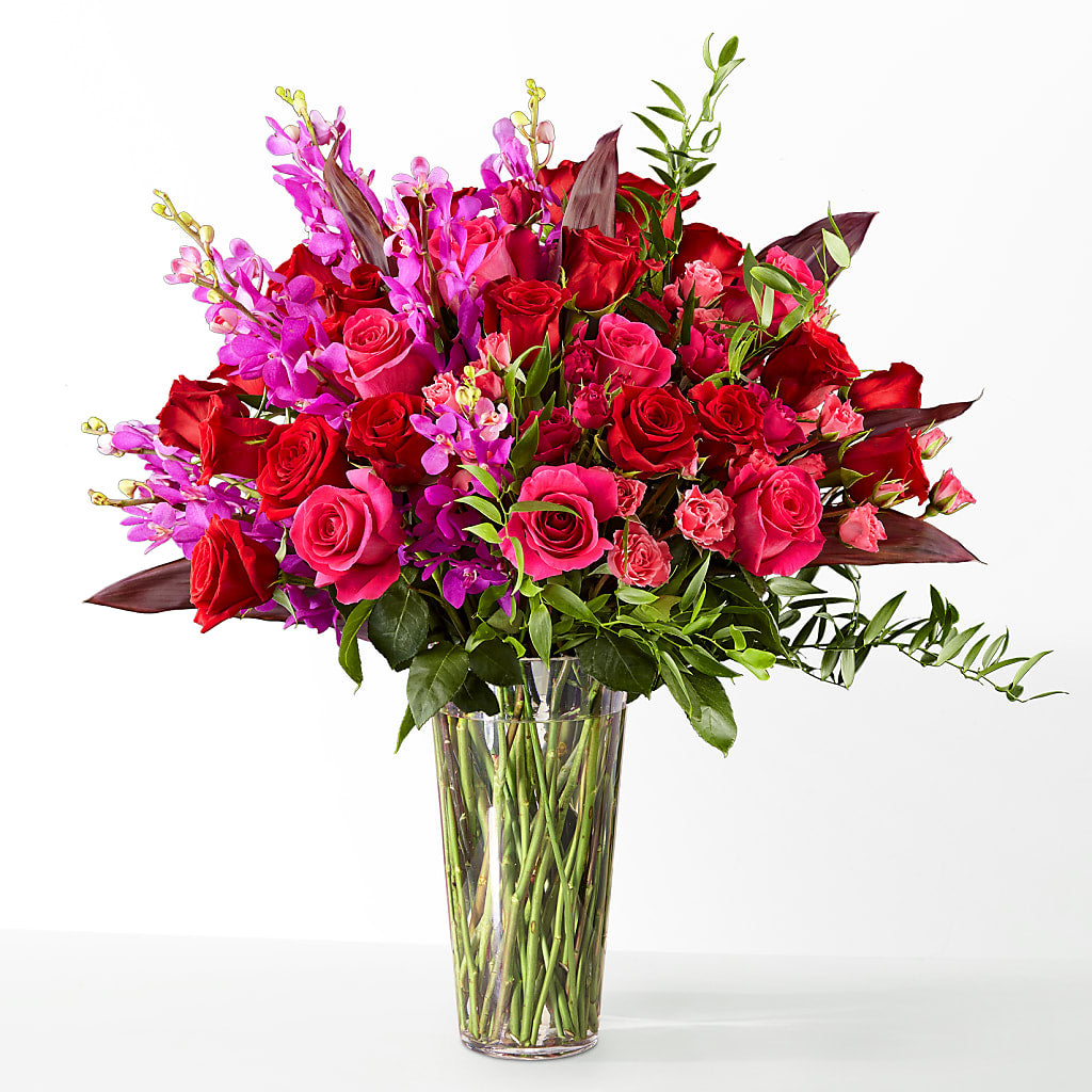 The Honeymoon –  Red Rose Flowers, Salinas CA