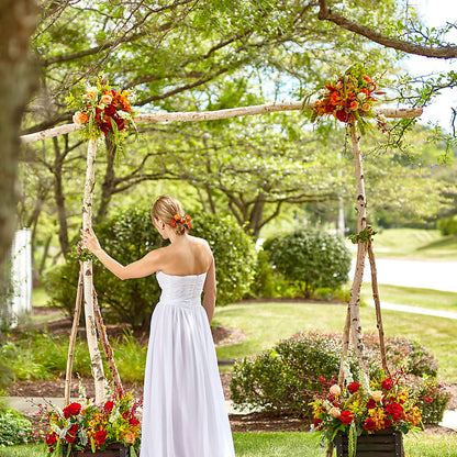 Arbor of Love Archway –  Red Rose Flowers, Salinas CA
