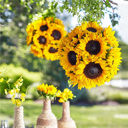 Sublime Garden Hanging Arrangement –  Red Rose Flowers, Salinas CA