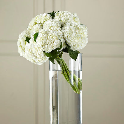 White Hydrangea Hand-Tied Bouquet –  Red Rose Flowers, Salinas CA