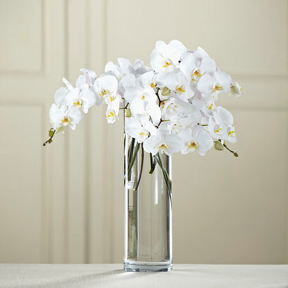 White Phalaenopsis Bouquet –  Red Rose Flowers, Salinas CA