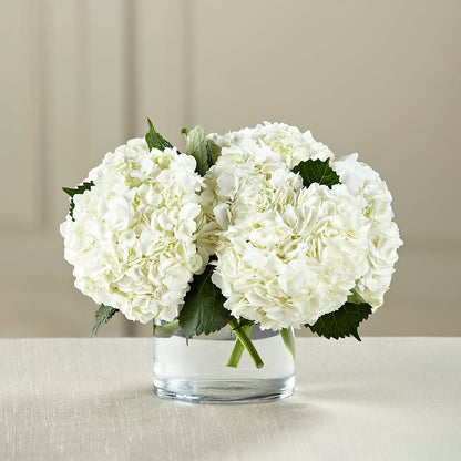 White Hydrangea Bouquet –  Red Rose Flowers, Salinas CA